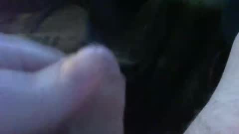 bullemoe online show from 30, 9, 2025