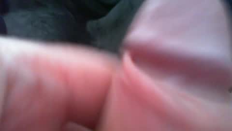 bullemoe online show from 7, 2, 2026