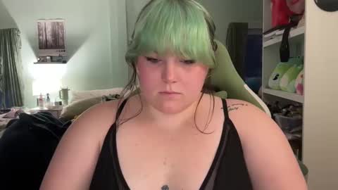 bumblebeebuzzer online show from 20, 2, 2025