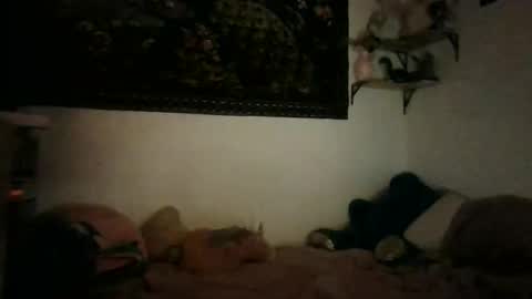 bunn13cat online show from 17, 3, 2026