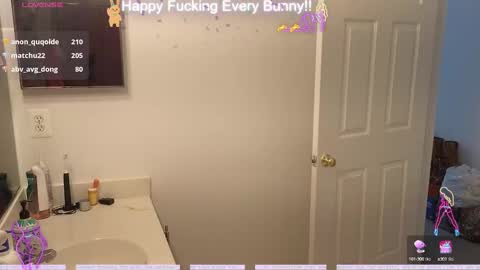 Tokki  bunny  online show from 3, 12, 2024