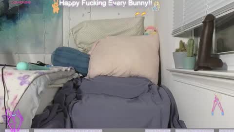 Tokki  bunny  online show from 4, 12, 2024