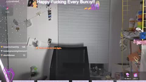 Tokki  bunny  online show from 9, 12, 2024