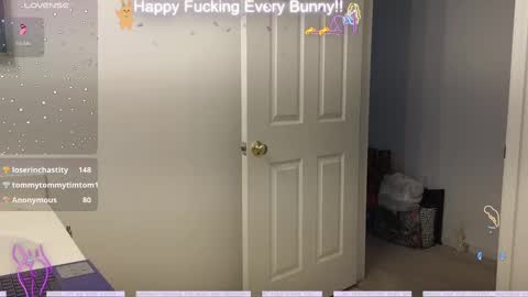 Tokki  bunny  online show from 10, 12, 2024