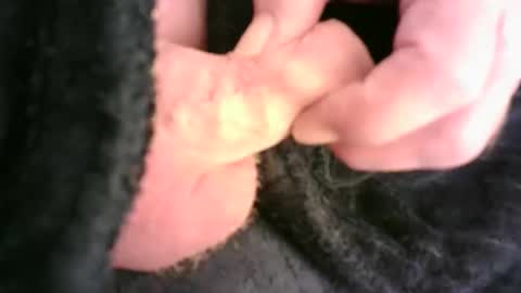 Hamish online show from 23, 11, 2025