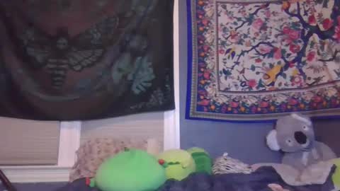 lilly online show from 2, 2, 2025