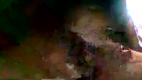 burro3000 online show from 13, 12, 2024