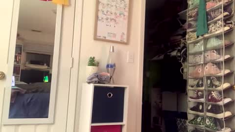 John online show from 15, 4, 2026