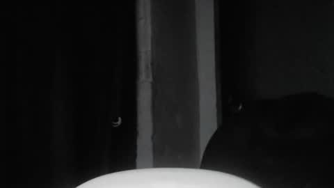 cafinfi1 online show from 18, 2, 2026