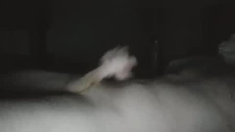 caguy2810 online show from 3, 12, 2025