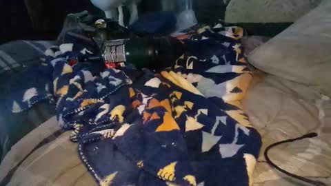 Calisguitar online show from 29, 12, 2024