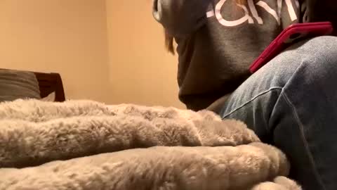 Snapshot of calishop1 chatting on 11, 12, 2024 calishop1 online show from 11, 12, 2024