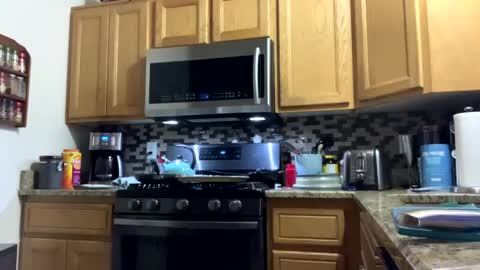 Snapshot of calishop1 chatting on 15, 12, 2024 calishop1 online show from 15, 12, 2024