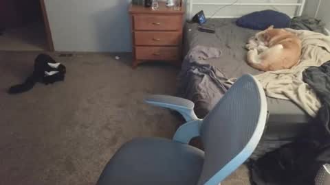 longjohn74 online show from 30, 4, 2026