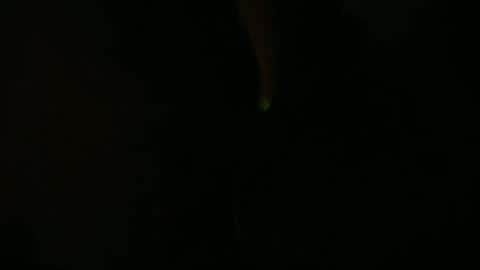 Snapshot of camaleon692021 chatting on 10, 7, 2026 Charly online show from 10, 7, 2026