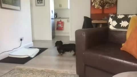 CamDoAttitude online show from 23, 9, 2025