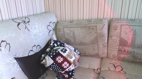 Snapshot of cameron_crowly chatting on 17, 1, 2025 Cameron online show from 17, 1, 2025