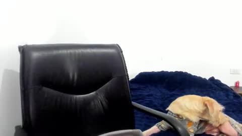Snapshot of camila_berk chatting on 12, 6, 2026 Cami online show from 12, 6, 2026