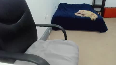 Snapshot of camila_berk chatting on 10, 7, 2026 Cami online show from 10, 7, 2026