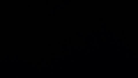 camilio96 online show from 7, 12, 2024