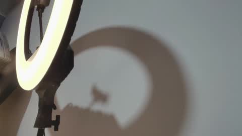 CAMILO  online show from 15, 3, 2026