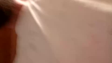 campas59100 online show from 28, 2, 2026