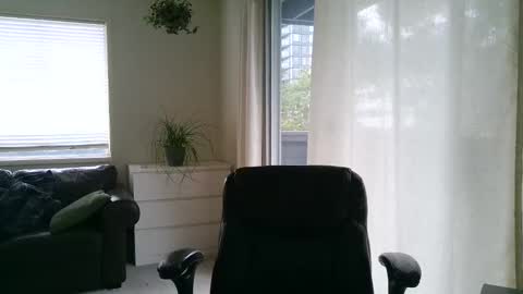 Devon online show from 11, 3, 2025