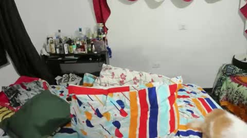 Snapshot of candlexx_ chatting on 10, 2, 2025 candlex online show from 10, 2, 2025