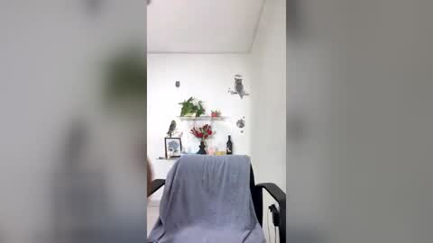 sofia perez online show from 21, 7, 2026
