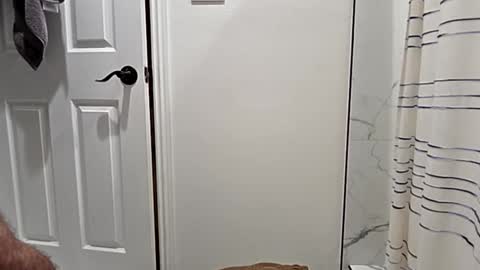 cappinrc8 online show from 12, 1, 2026