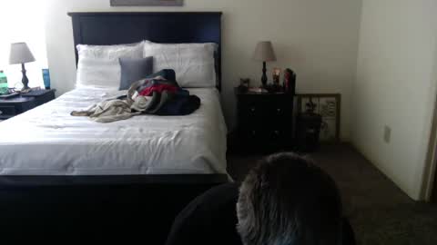 captmorgan30263 online show from 26, 2, 2025