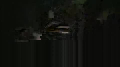 Snapshot of cardie chatting on 16, 5, 2026 supersexycardie online show from 16, 5, 2026