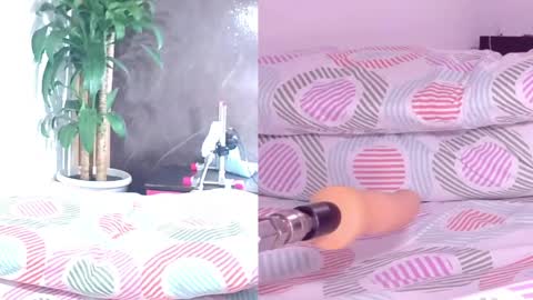 Carol online show from 10, 4, 2026