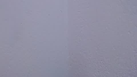 Snapshot of carolina_zabala_19 chatting on 18, 7, 2026 carolina_zabala_19 online show from 18, 7, 2026