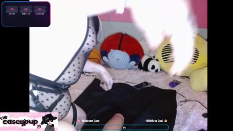 caseypup online show from 2, 12, 2025