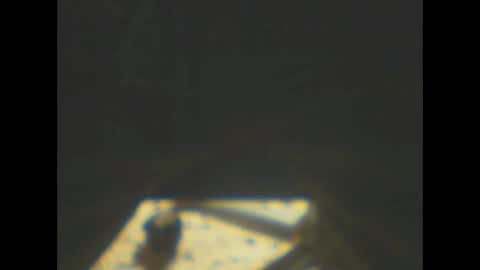 castells online show from 8, 1, 2026