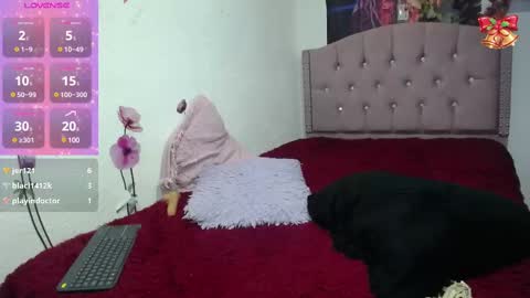 Catalina   online show from 7, 3, 2025