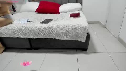 Catleya online show from 17, 1, 2026