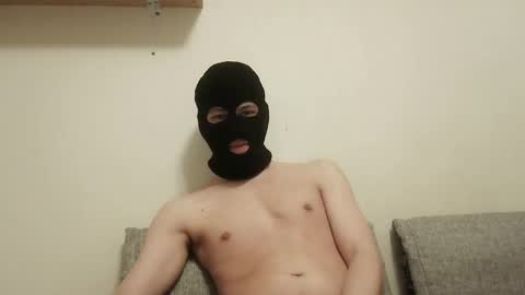 catsudon online show from 29, 11, 2025