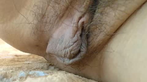 ANNYANNY online show from 8, 9, 2025