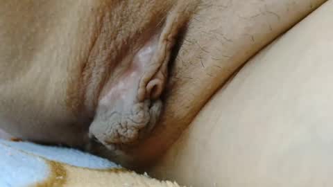 ANNYANNY online show from 8, 3, 2026