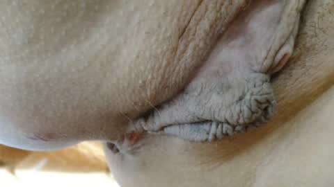 ANNYANNY online show from 24, 3, 2026