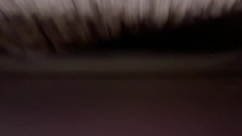 cenobitfor online show from 6, 3, 2026