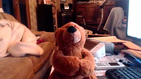 chacoa online show from 16, 2, 2026