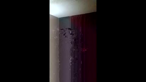 Snapshot of chandelier6969 chatting on 22, 3, 2026 Roxy and Royce online show from 22, 3, 2026