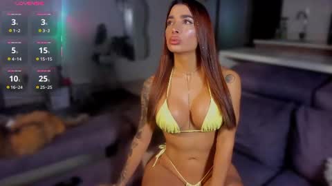  x online show from 15, 6, 2026