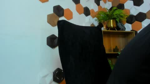 Snapshot of charliegrifinx chatting on 1, 6, 2026 CharlieGrifinX online show from 1, 6, 2026