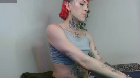 Ale punky online show from 1, 6, 2026