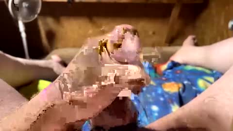 chasepeewee2 online show from 16, 2, 2025