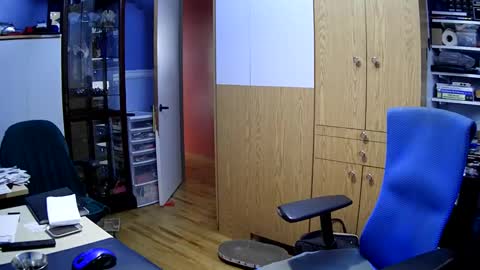 wanaBeYourToy online show from 4, 12, 2024